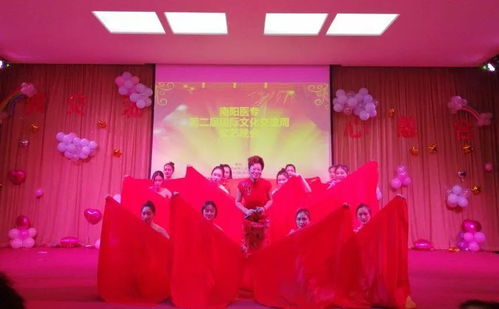 新交流 心融合 南陽醫(yī)專國際文化交流周文藝晚會(huì)精彩回顧